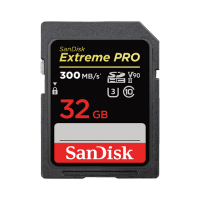32GB Memory Card